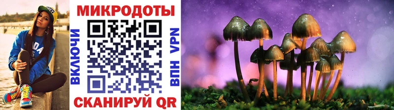 где купить наркотик  Новомосковск  ОМГ ОМГ рабочий сайт  Галлюциногенные грибы прущие грибы 